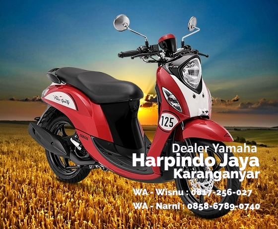 yamaha fino solo