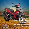 mx king otr solo