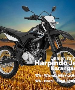 Alternative view of Yamaha WR 155 R