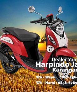 yamaha fino solo