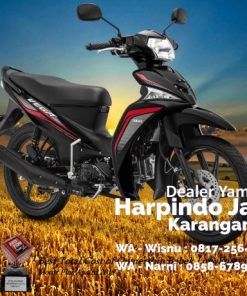yamaha vega solo