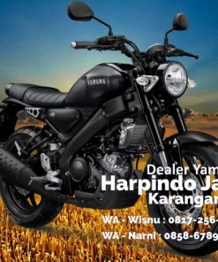 yamaha xsr solo